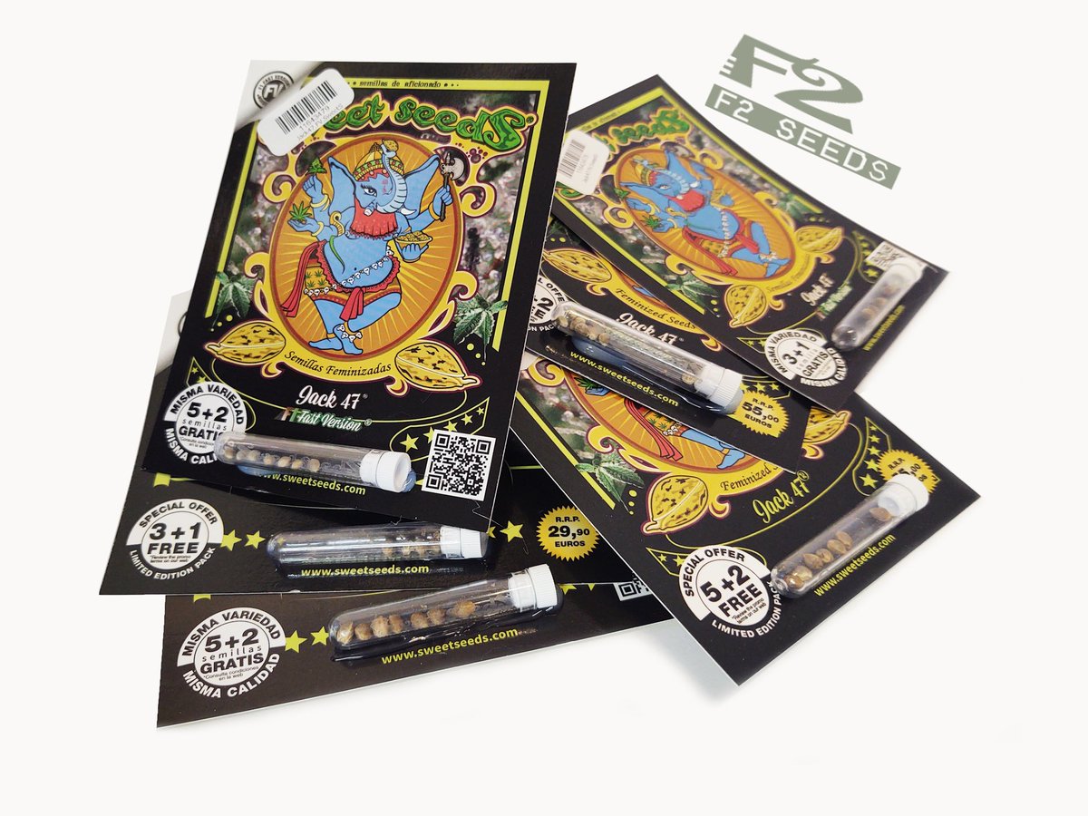 F2seeds_pl's tweet image. Jack 47 ♥️💚 od @sweetseeds_es 🔝

✅Wyjątkową witalność od Sweet Seeds! ♥️
✅Odmiana marihuany o słodkim, świeżym, cytrynowym aromacie i smaku 🍋
✅Efekt nasion jest długotrwały i mocny 💪
✅Dostępne wersje: #Autoflowering #FastVersion #Feminise 🤗

#SweetSeeds #Jack47 #F2seeds