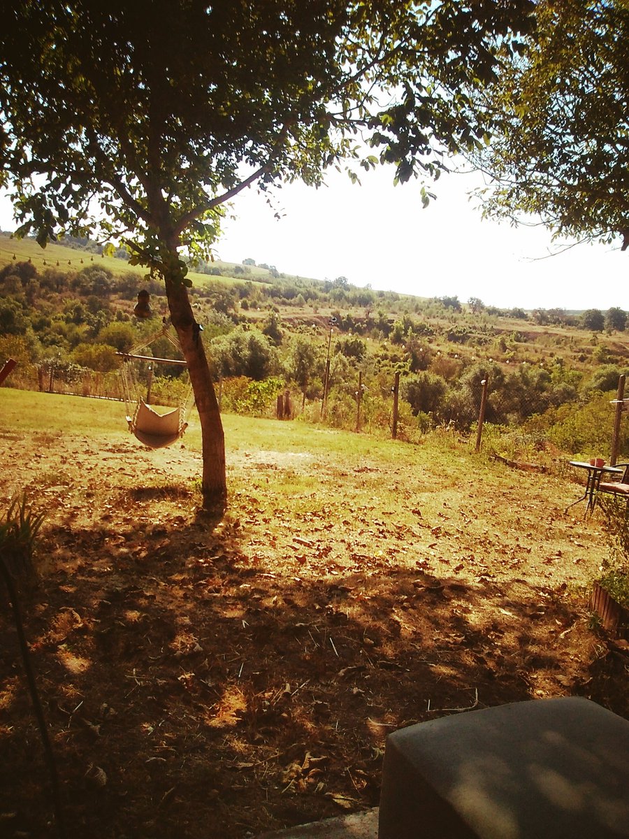 Not a bad morning so far. Me and JJ have turned the compost in the bins. Filled all the potato sack with earth. Finished weeding the soft fruit section. Doggie mine clear done. Harvested more veg. Having a break. Then put all the tools away. Then decide what's next.