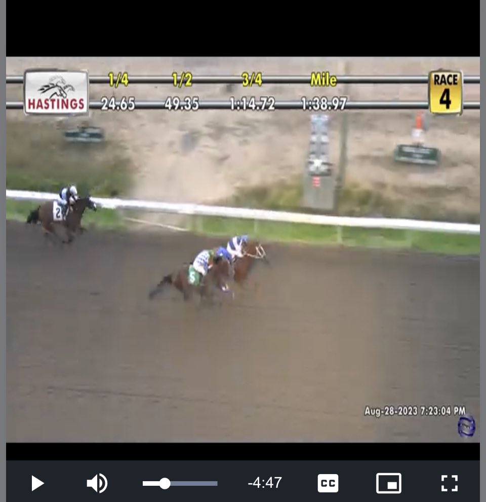 What a night for Renfrew Racing and partners! Lizzie another stakes win, Matsqui with another stakes place and Filly Fatale with a win!! Thanks to Mark and Marc and Dave and of course Amadeo! <a href="/hastingsraces/">Hastings Racecourse</a> <a href="/BcCths/">CTHS BC DIVISION</a> #hastings <a href="/aMattStory/">Matthew Elder</a> <a href="/bloodstock_blog/">Nigel Reid</a>