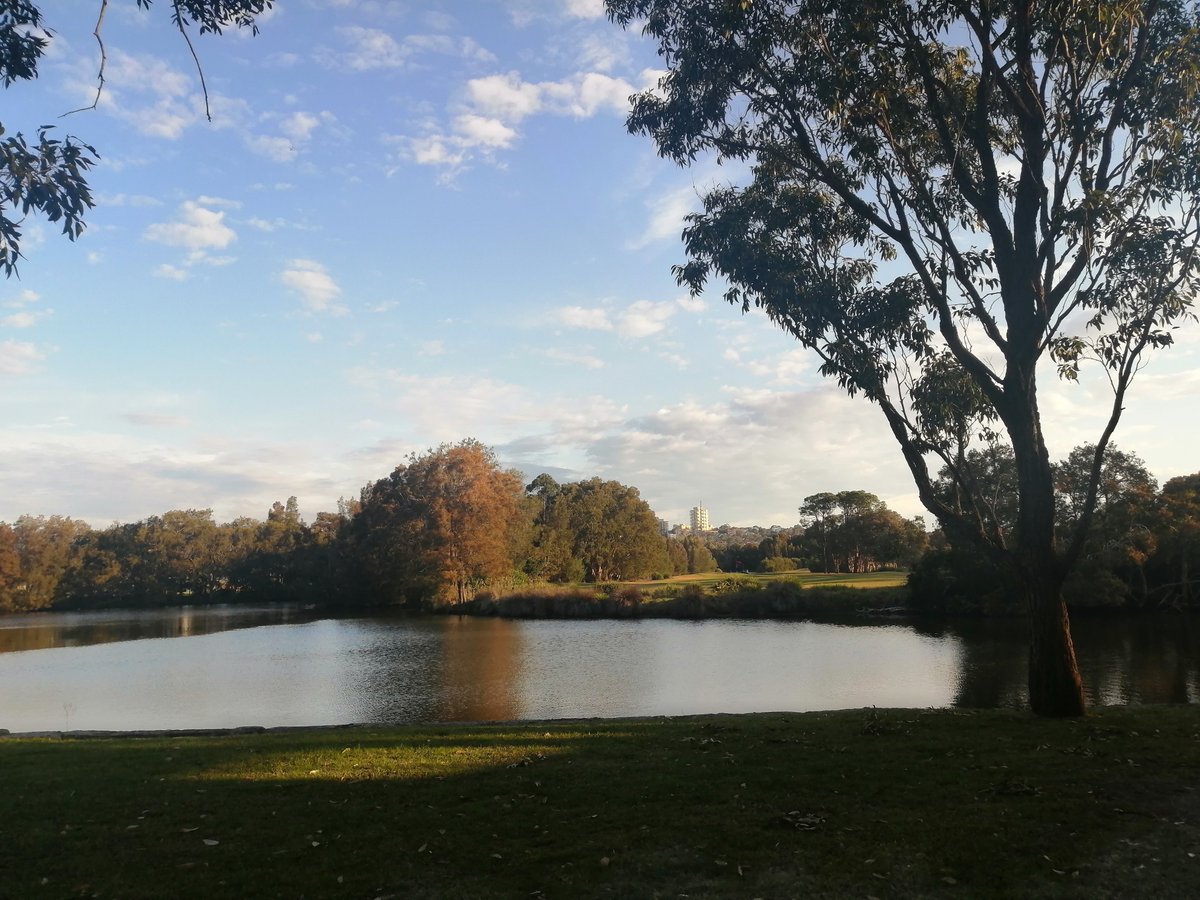 Need some fresh air after a long day's work in front of the computer! #naturelovers #NaturePhotography #NatureBeauty