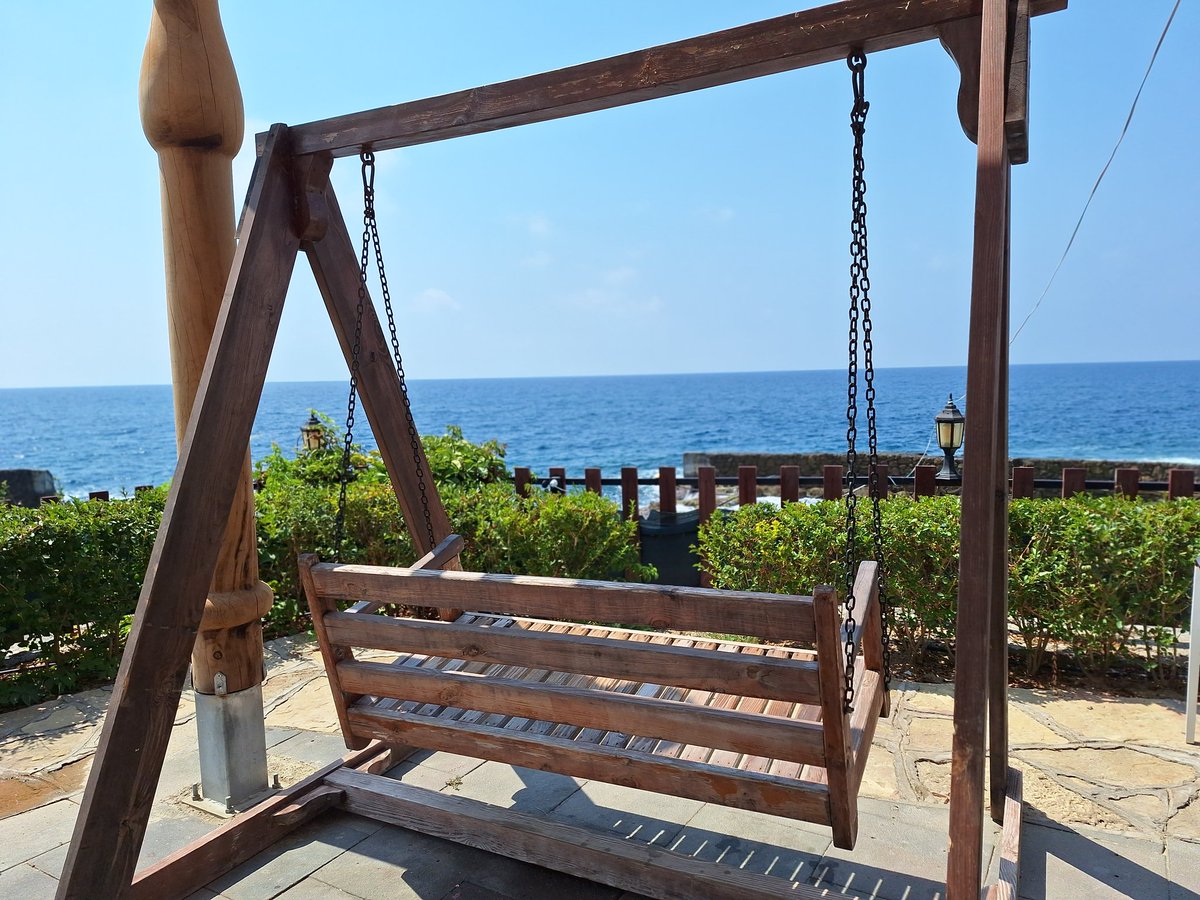 𝐌𝐨𝐰𝐤𝐢 ⚚ tweet media