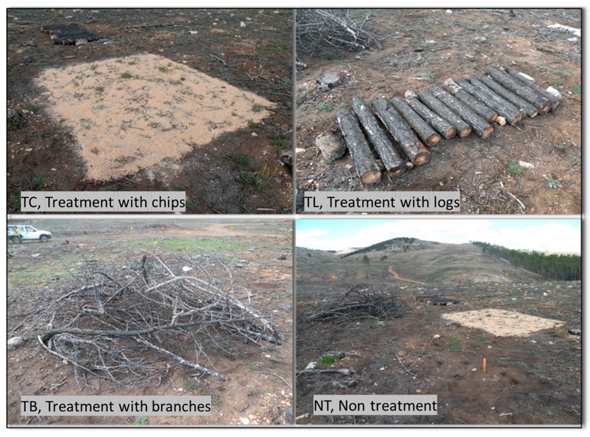 Application of a Soil Quality Index to a Mediterranean Mountain with Post-Fire Treatments #mdpiforests <a href="/MDPIOpenAccess/">MDPI</a>

🔥🌲🌱Aquest estudi, realitzat a la Serra de la Conca (la #Noguera), evalua la funcionalitat del sòl després de patir un #incendi
👉mdpi.com/2455400
