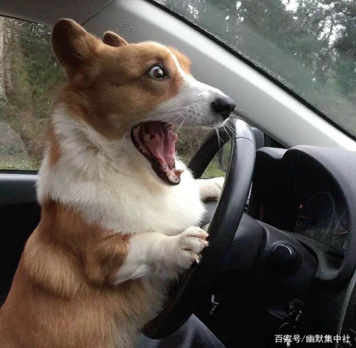 shariscake's tweet photo. When I saw my crush with other person, while I'm driving . 😂 https://t.co/6LRVnEgHCb