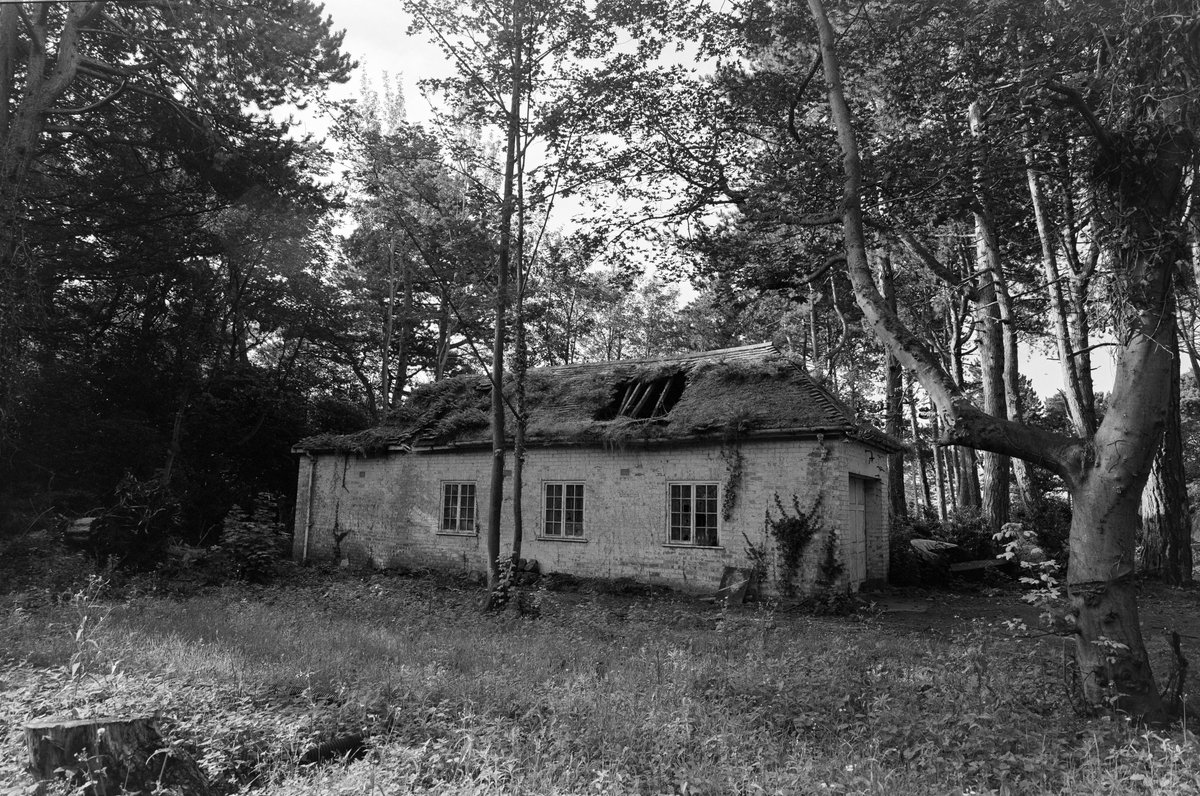 A neglected building that has been revealed as surrounding trees were cut down. 📸Mamiya Press - 50mm f6.3 🎞️Ilford Delta 400 - D23 #shootfilmbenice #believeinfilm #filmphotography