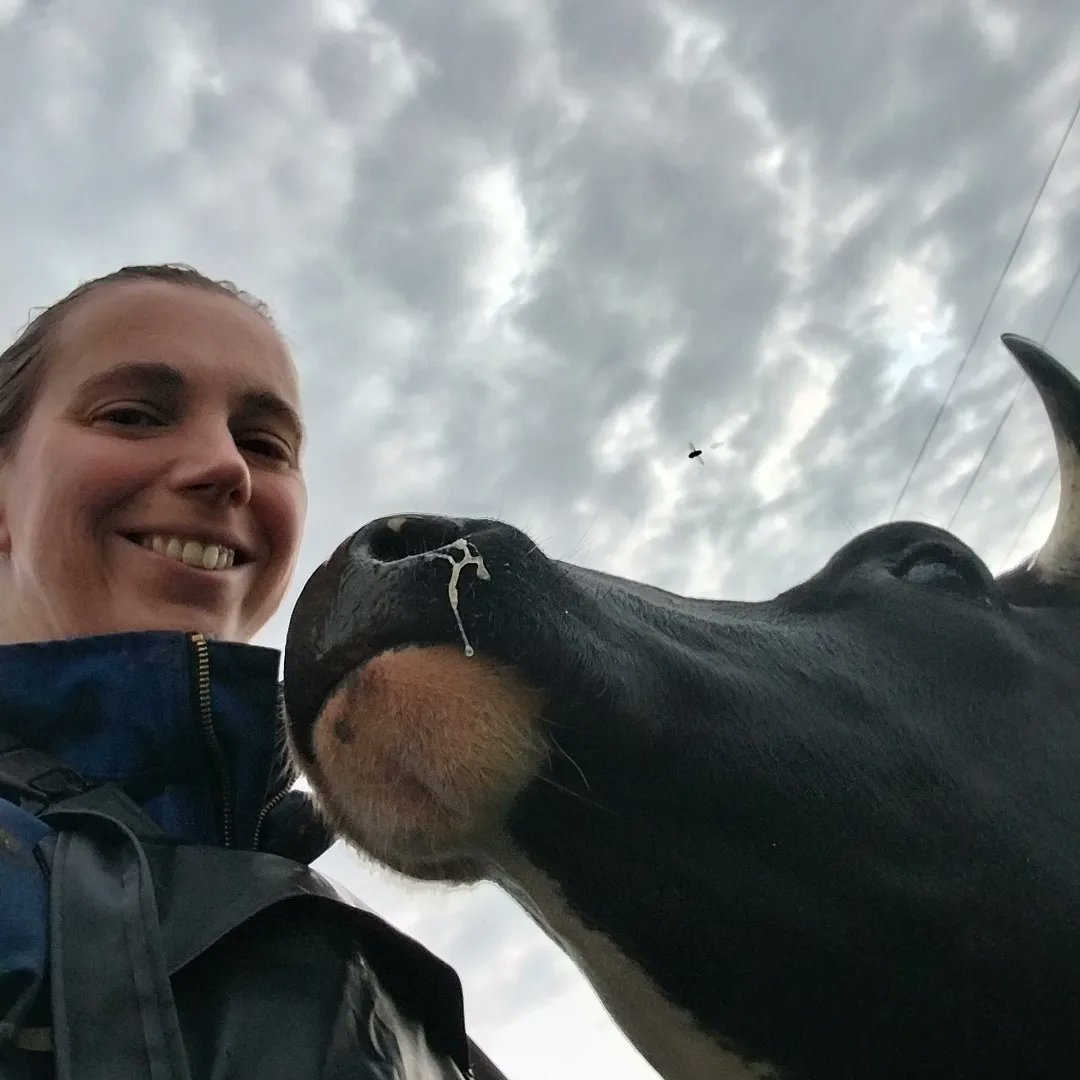 wictonfarm's tweet photo. Morning cuddles with this beautiful lady #wildcows #friends #teamwork https://t.co/kSsxjS3V6X