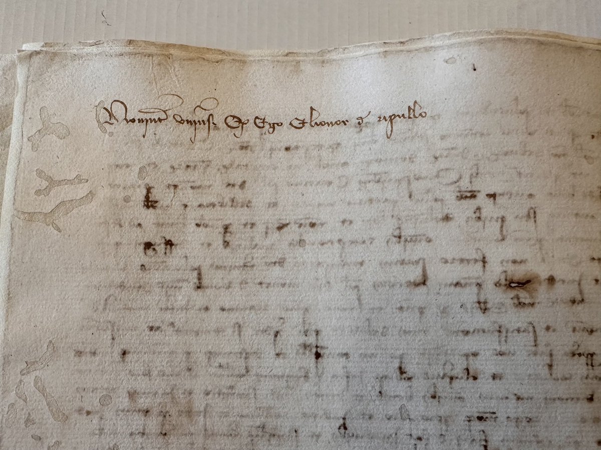 Frederic Aparisi tweet media