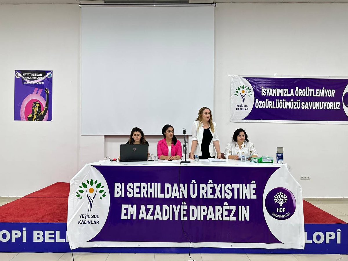Tevgera me, Meclîsa Jinan a HDPê û Meclîsa Jinan a Yeşil Sol Partiyê û tevlîbûna gelek saziyên jinan bi şîara " Bi Serhildan û Rêxistinê Em Azadiyê Diparêzin" heta niha li gelek bajarên weku Şirnex, Mêrdîn, Riha û Êlihê civînê ji berî konferansa jinan li dar xistin.