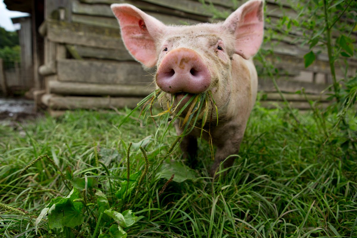 Sustainability Works tweet media