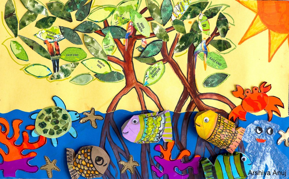 MangroveProject tweet picture
