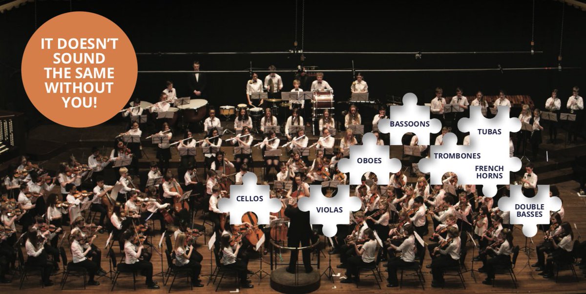 EventsNyo's tweet photo. These instruments are needed to add their special timbres to the symphonic sound. Young musicians age 8-18 who’d like to experience the amazing live sound world of one of our friendly orchestras can request a FREE Taster rehearsal evening: Details:
https://t.co/Cz3mp2tTKA https://t.co/J01sdtPwu2