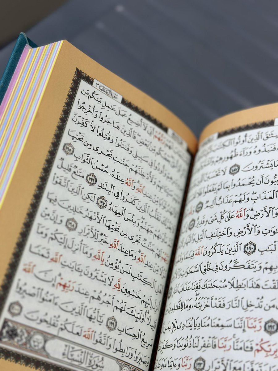 وداد أحمد. tweet media