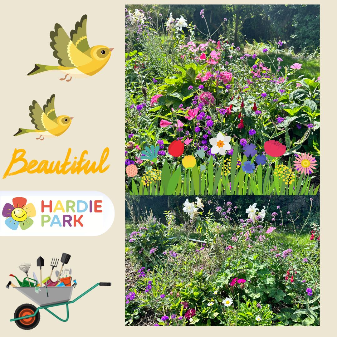 LoveHardiePark's tweet photo. Smashing show of blooms in the Hardie Park beds thanks to our team of volunteer gardeners ๐ณ๐ผ๐บ๐ฅ๐น
#fridays #10am #allwelcome #morehandslesswork https://t.co/tHFcUYc9Yi