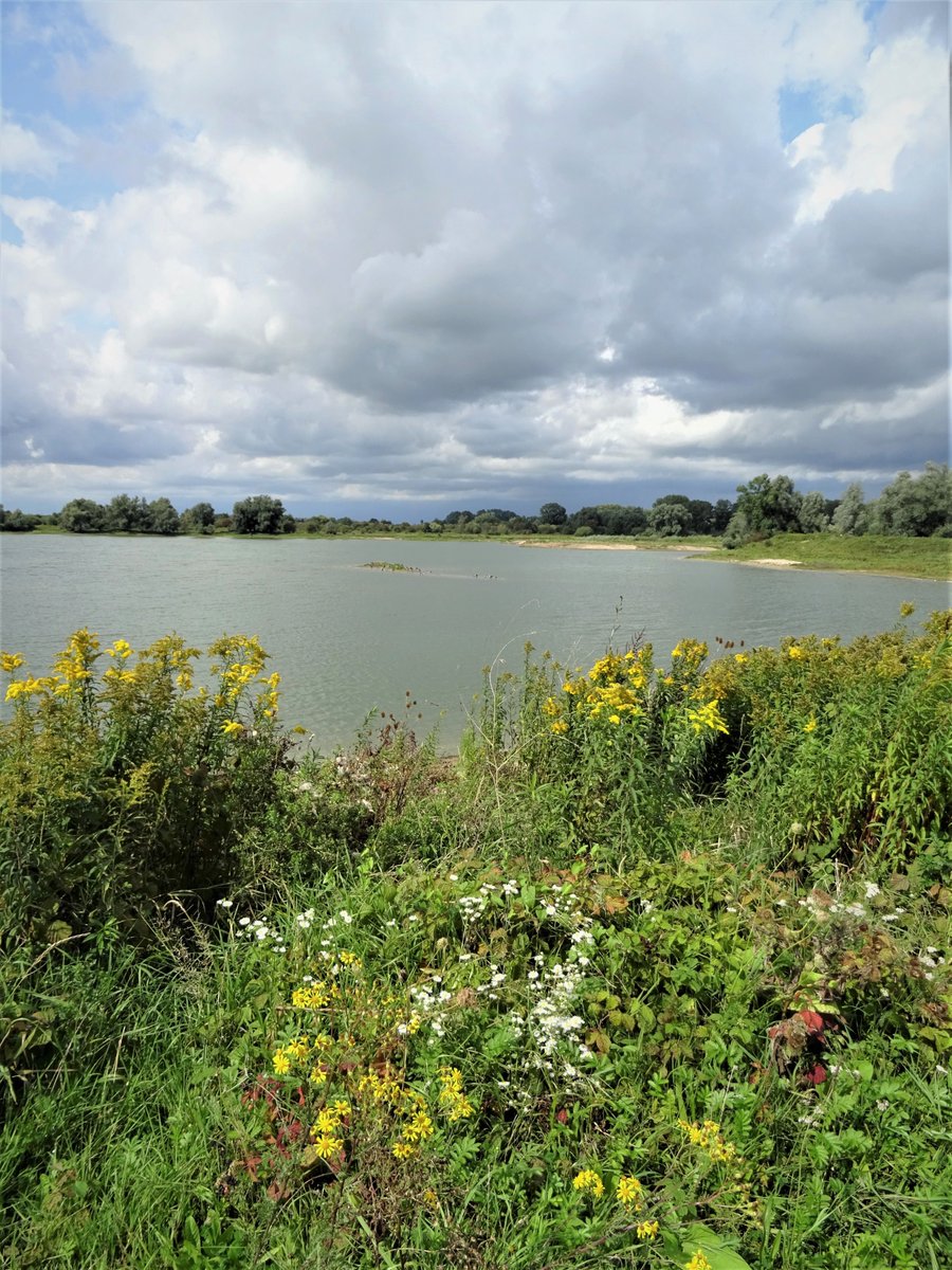 GeriMeftah's tweet photo. Prachtige wandeling naar de #Millingertheetuin #wandeling https://t.co/Q3UwRMVuUn