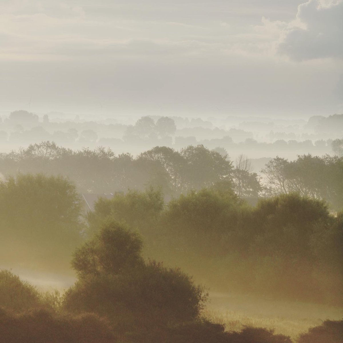 Christian DE NEEF tweet media