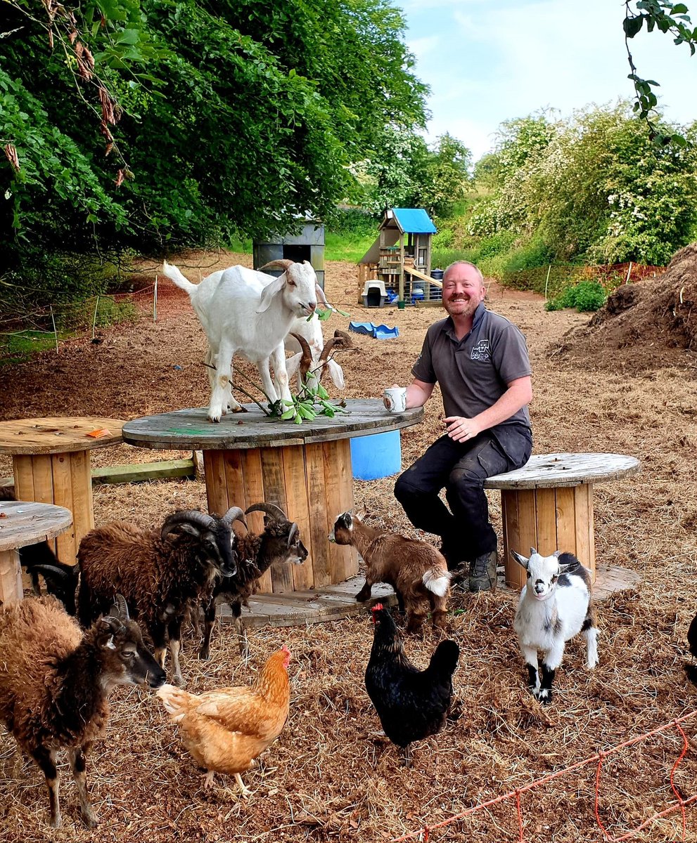 PlayforStrays tweet media