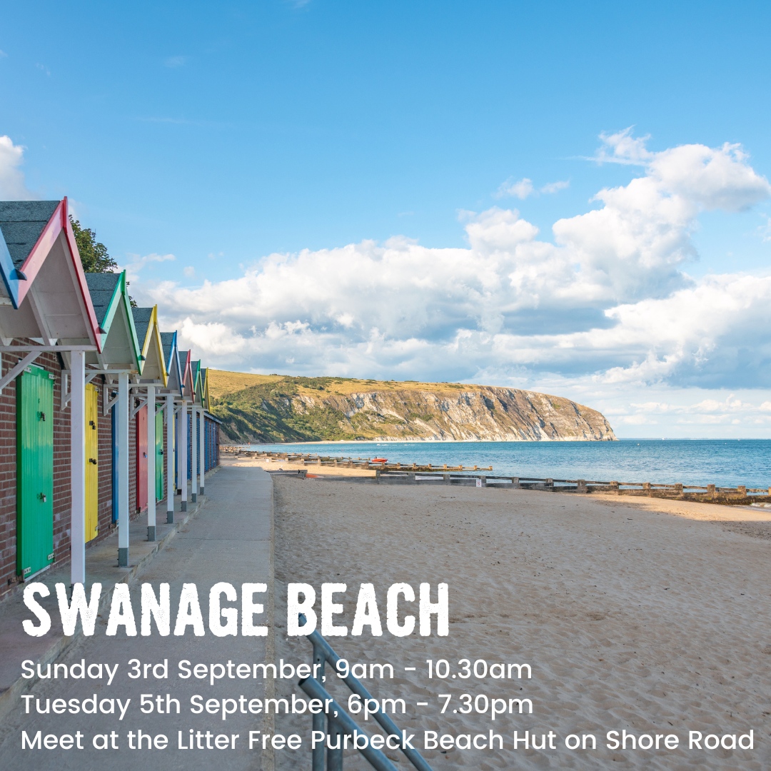 Fancy joining a #BeachClean? 🌊 There are a few clean ups to join in early September! 🚮 Lyme Regis Beach Clean - 02/09 🚮 Swanage Beach Clean - 03/09 & 05/09 Which one will you be joining? Find out full details of each pick on our website, click the Linktree in our bio.