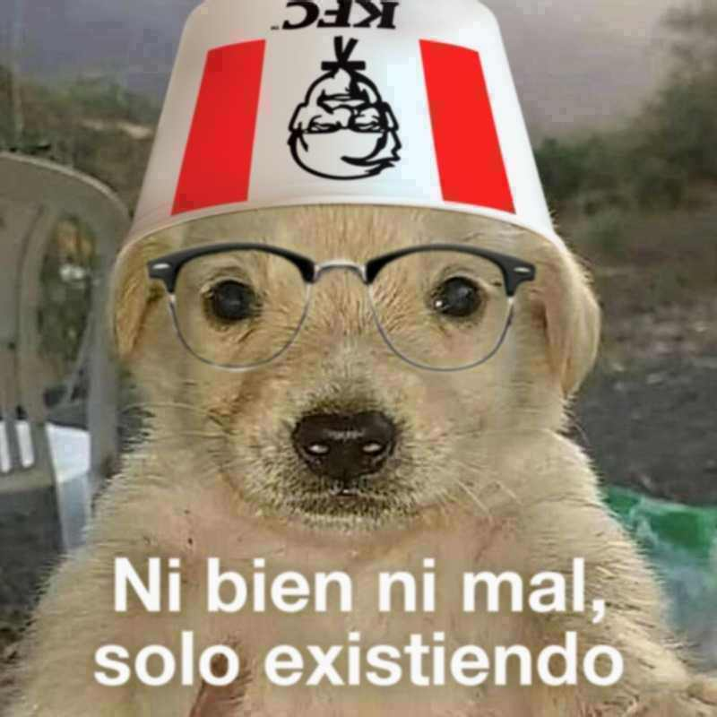 hola web amigos