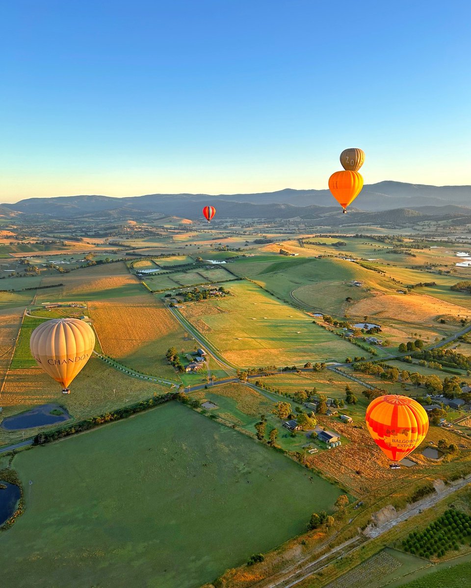 Give Dad the gift of adventure this Father's Day with 20% OFF our Yarra Valley Hot Air Balloon Gift Vouchers! 😍 BUY NOW - link in bio 🙌 globalballooning.com.au/deals/yarra-va…