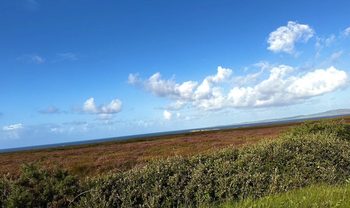 Glenegedale House, Isle of Islay tweet media