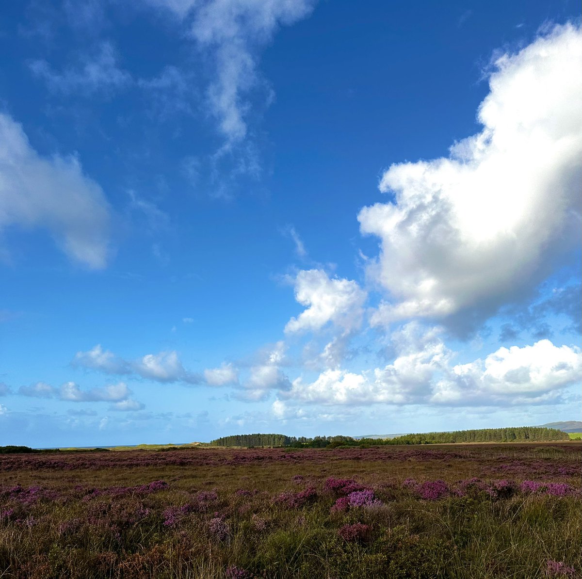Glenegedale House, Isle of Islay tweet media