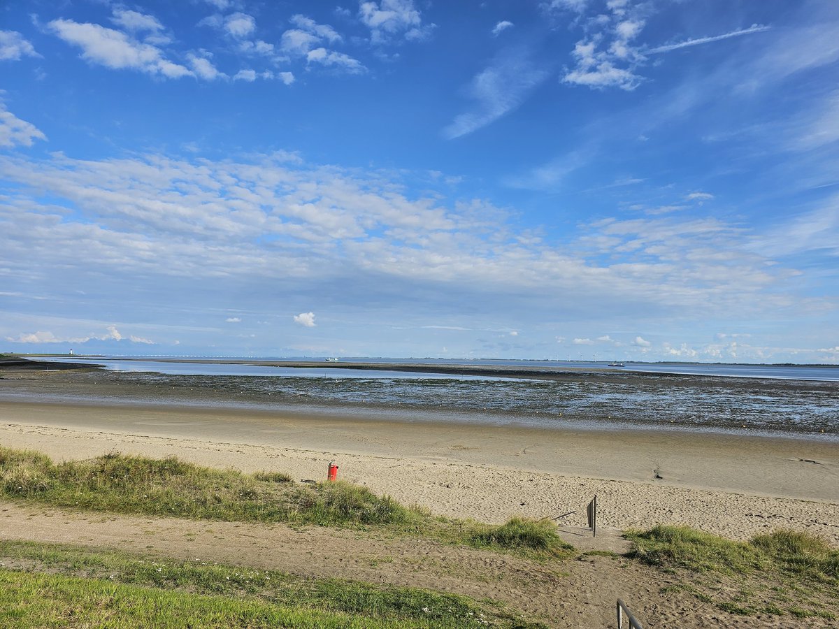 annikahollebek's tweet photo. Met onze Japanse gastchef van deze week op bezoek in #yerseke #oesters #mossels #ziltenzout https://t.co/vCe9jgwNDu
