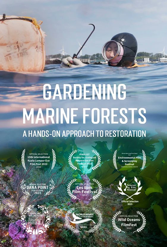 We are excited that a documentary about the kelp restoration & the amazing marine gardening work of the Haenyo women & scientists in Korea will be screening at the Wild Earth Oceana Film Festival on Sunday 10th Sep 6pm @ Palace Norton St. Tickets here ➡️ events.humanitix.com/weoff-rewildin…