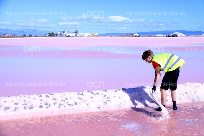 ACNebre's tweet photo. Els vents secs, les pluges escasses i la calor fan preveure una collita de #sal rècord al #deltadelEbre.
L'empresa #Infosa, que explota les salines de la punta de la Banya, preveu obtenir 120.000 tones.
https://t.co/JnNR5q2lUF https://t.co/vdzri8RREN