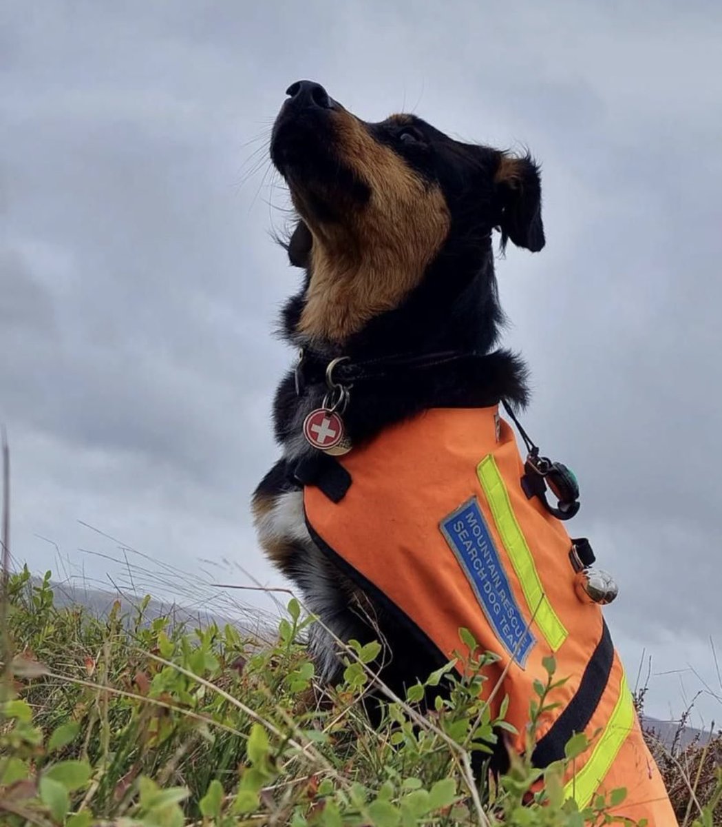 EdaleMountainRescue tweet media