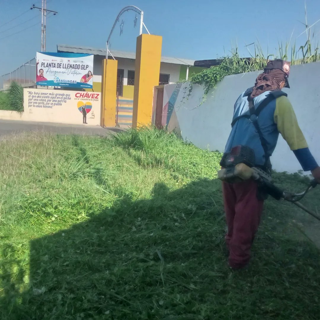 Instit12Febrero's tweet photo. #29Ago Gracias a la gestión de nuestro Alcalde @juancarlospsuv cuadrillas del Instituto Bolivariano 12 de Febrero realiza labores de mantenimiento de aceras públicas y desmalezado de isla central en la Av. Intercomunal la Mora. 
#RibasVuelveASonreir #GobernamosParaServir https://t.co/q8DnnP1QAB