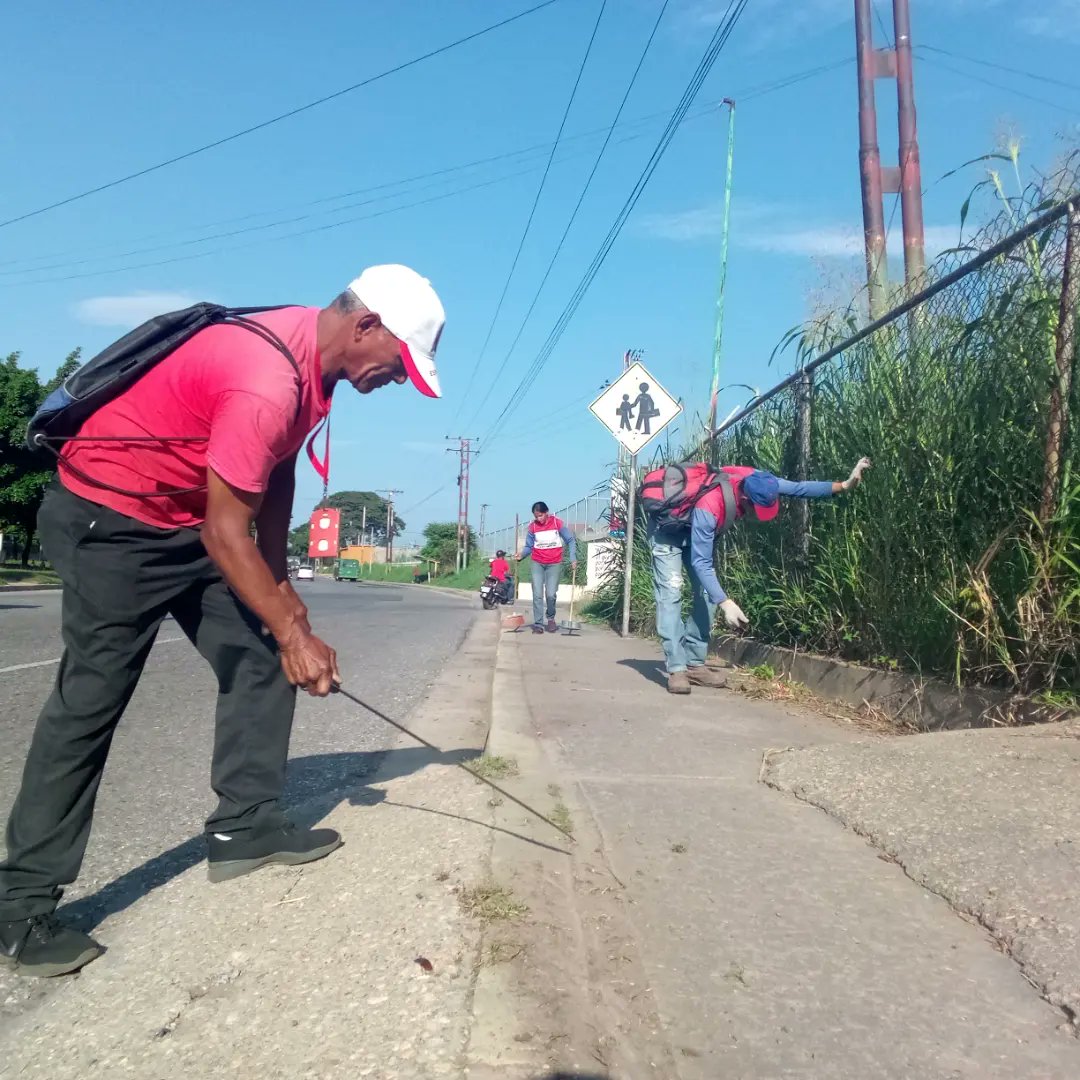 Instit12Febrero's tweet photo. #29Ago Gracias a la gestión de nuestro Alcalde @juancarlospsuv cuadrillas del Instituto Bolivariano 12 de Febrero realiza labores de mantenimiento de aceras públicas y desmalezado de isla central en la Av. Intercomunal la Mora. 
#RibasVuelveASonreir #GobernamosParaServir https://t.co/q8DnnP1QAB