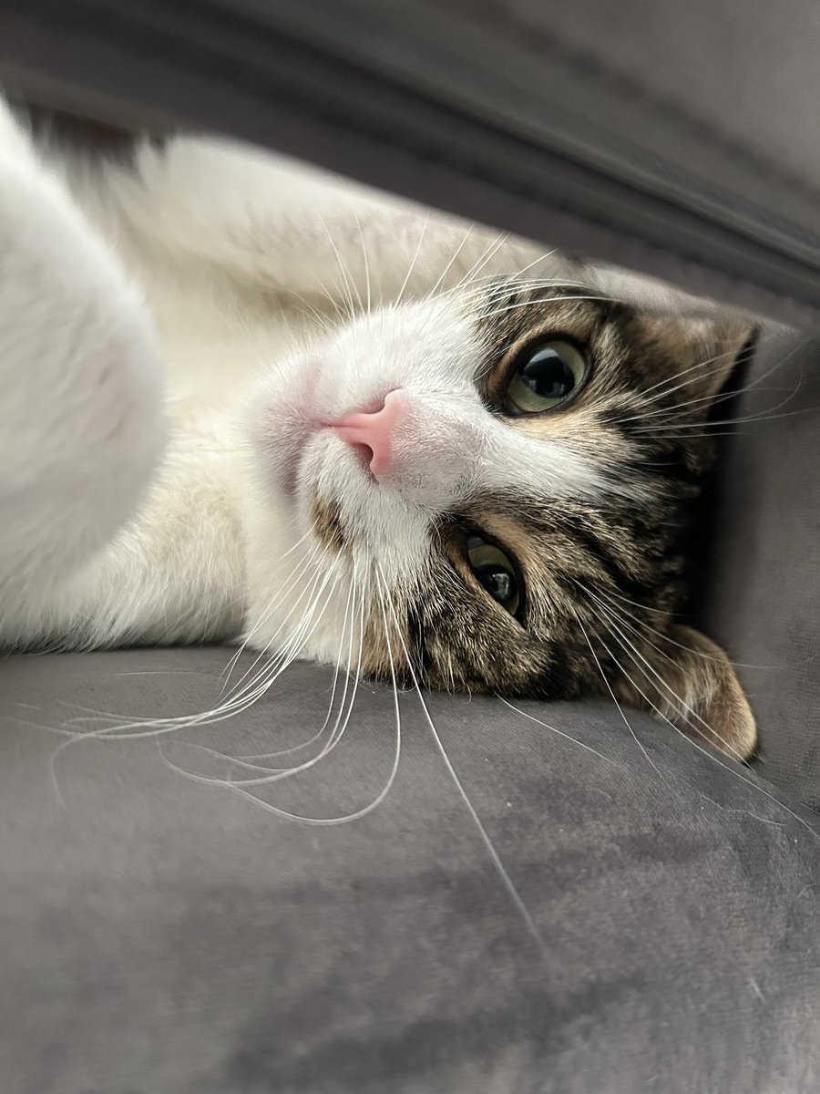Lottunn's tweet photo. 🥰 https://t.co/B3OFWhXmFC