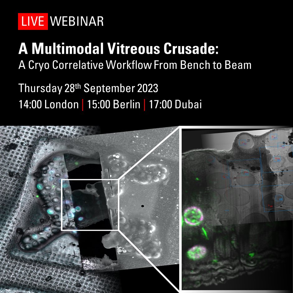 🔶Want to discover the power of #Cryo Correlative Workflows in structural biology research?
🔶Join our upcoming webinar and discover how advanced techniques, including Cryo #FIB &amp; Volume EM, can revolutionize your understanding of biological structures.
👉 fcld.ly/wakczjh