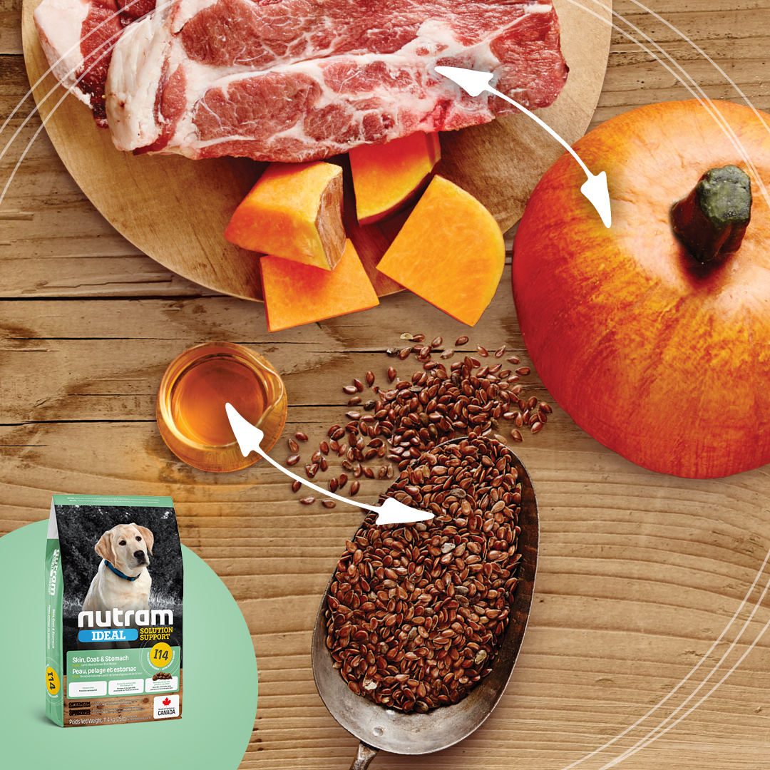 Discover the wholesome ingredients that power our I14 Nutram Ideal Solution Support recipe:

Lamb &amp; Pumpkin: Promotes healthy digestion with natural fibre. 

Salmon Oil &amp; Flaxseed: Boosts cognitive development with omega-3 fatty acids. 

Learn more at nutram.com/I14