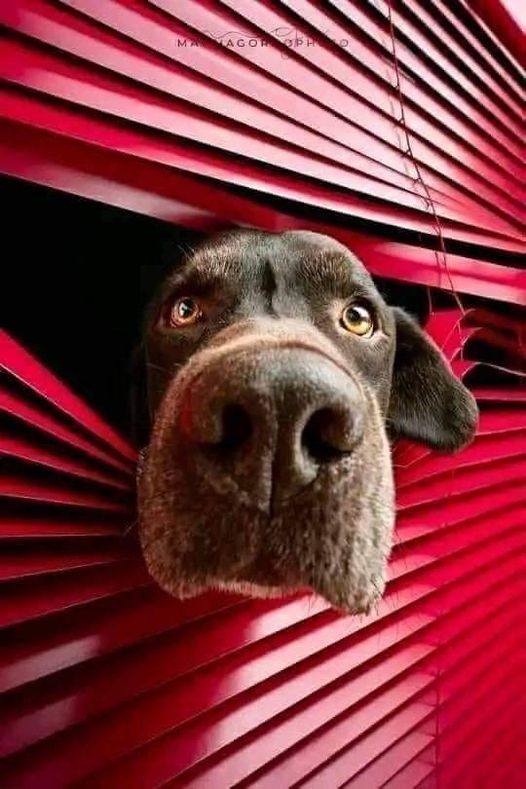 GreenHemUSA's tweet image. HELLO THERE ... Happy Tuesday 😎

Tangram Media Inc.  
☎️ (877) 426-8880  
🌎 tangrammedia.com  
#tangrammedia #tangrammedianc #webdesign #webdevelopment #socialmedia #happytuesday @TangramMedia