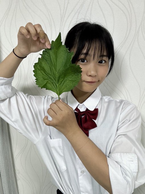 Twitterのコスプレ画像26