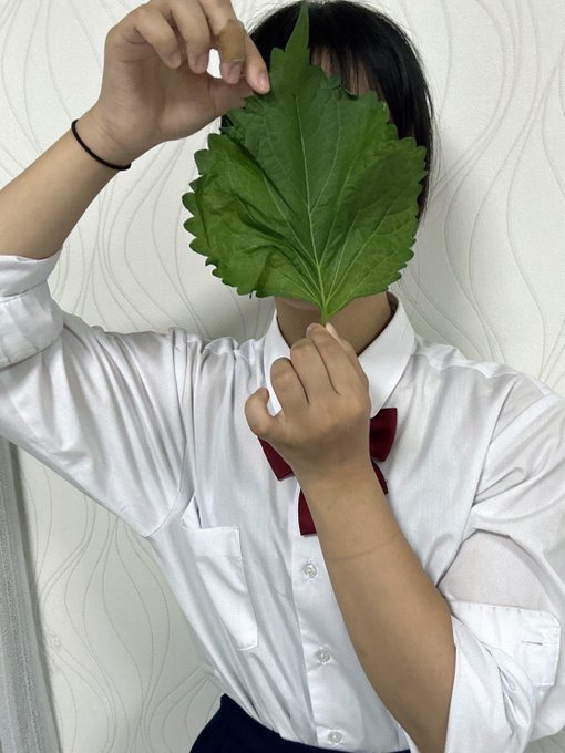 Twitterのコスプレ画像27