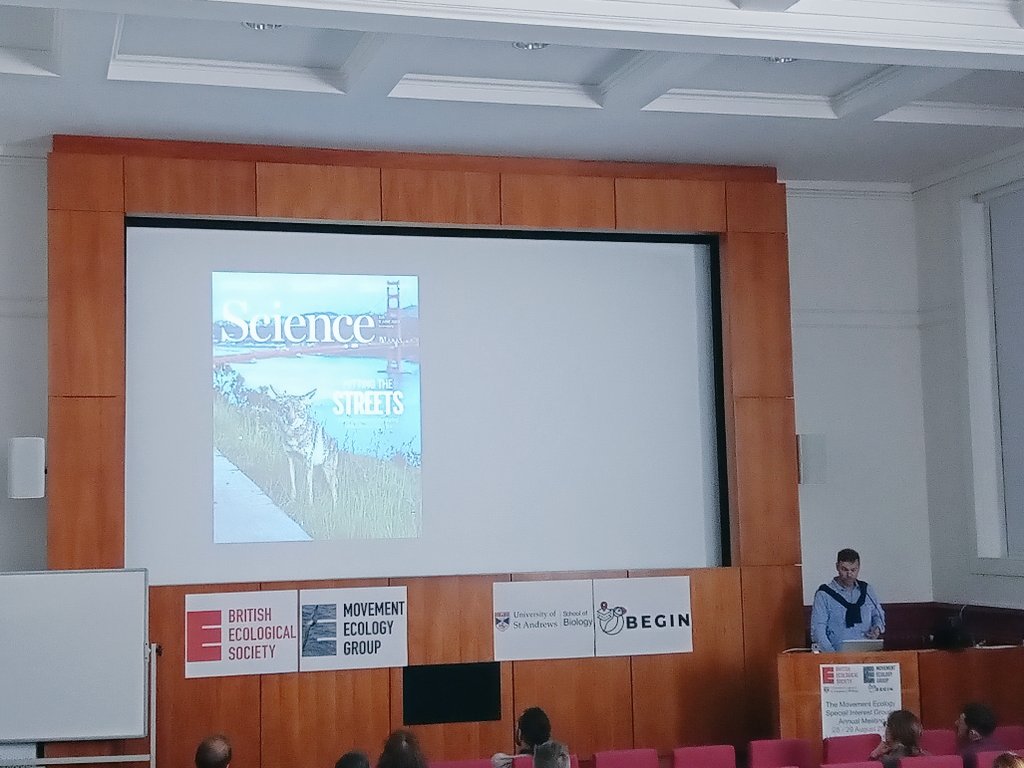 BEGIN_StAndrews's tweet photo. Day 2 of #BESMove2023 involves a talk by Christian Rutz from @SchoolofBiology who discusses the anthropause and animal movements during the COVID-19 lockdown 🐑🦌🦭 @BritishEcolSoc @BES_Move_SIG @StAndrewsSGSD https://t.co/mQDXsXqDJb