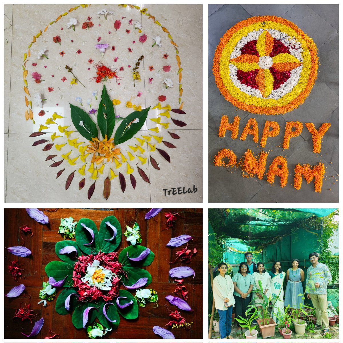 vinita_gowda's tweet photo. #Onashamsakal
#HappyOnam
Top left is our APG-inspired #pookalam with #Magnolia branching into 3 primary branches showing our study taxa = #Curcuma #Globba #HedychiumSpicatum
Next, a splatter of monocot & dicot families such as #commelinaceae #solanaceae ..
#WeRBotanists https://t.co/UrjoTZBfbN