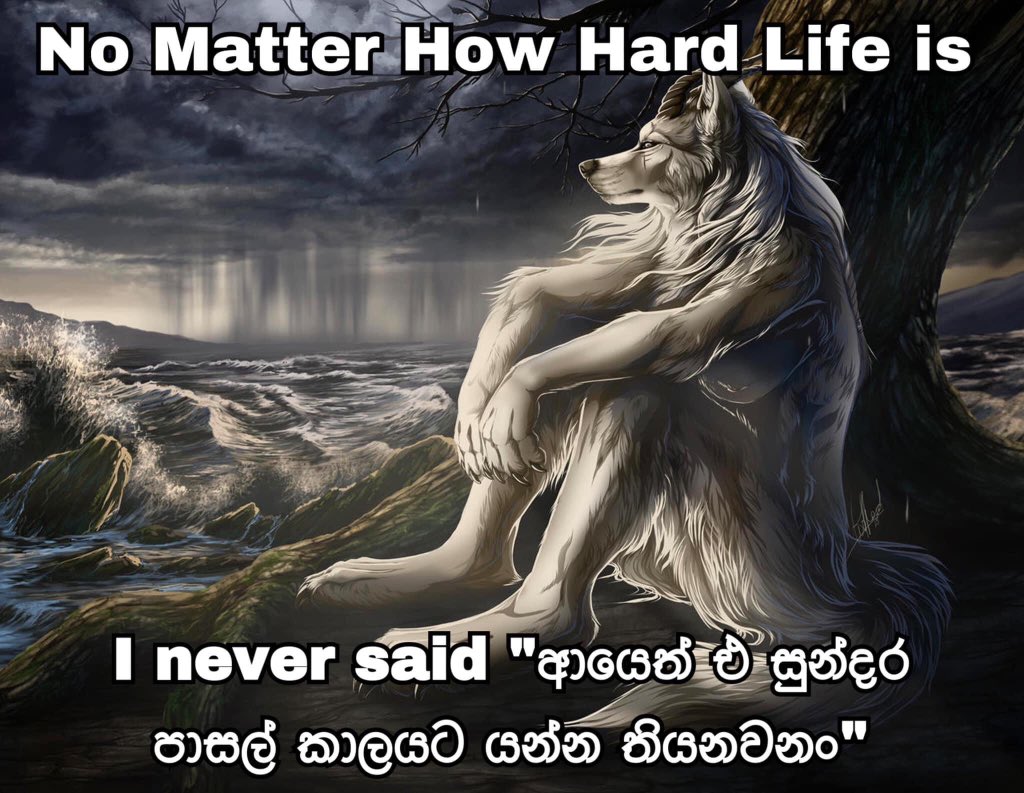 lahirunirmala's tweet photo. https://t.co/jwQg3vUm32