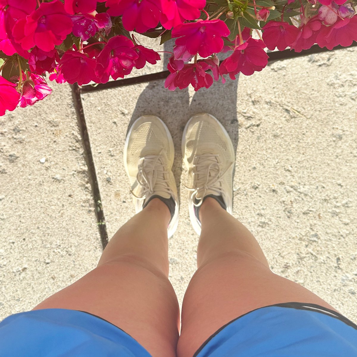 Path to 26.2 Miles tweet media