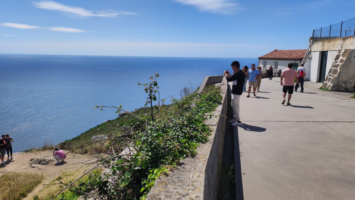 Dee (panch) tweet media