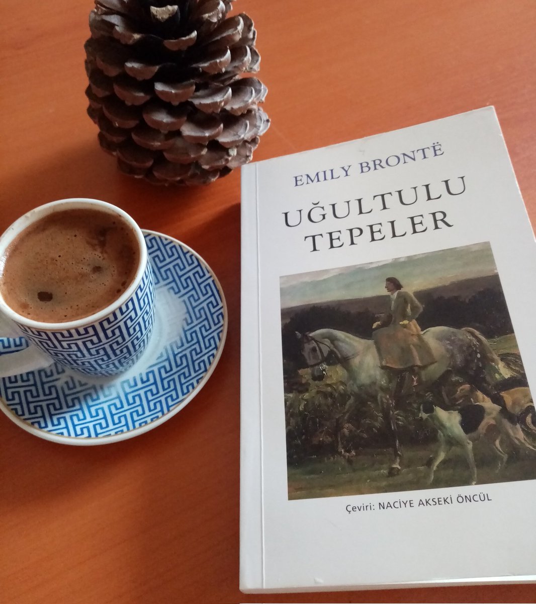 Ölümünden bir yıl önce bitirdiği kitabı Uğultulu Tepelerdeki karakterlerin yalnızca bir hayal ürünü olmadığı, Bronte'nin çevresindeki kişilerden izler taşıdığı da bir gerçek. Sevgi, nefret,
intikam,tutku gibi güçlü duygularla örtülü marazi bir gençlik öyküsü.
#ÖğretmenlerKitapKul