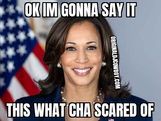 YEAH What Cha Not Sayin is this Black Mixed Race Educated Articulate WOMAN Could Possibly Be Commander and Chief You Know Yall Ain't Really  Tripping On The Geriatrics Of Joe Biden .... Yeah I Said It 2023 She is A Triple Threat How you Really feel about a woman to run Shit Playa