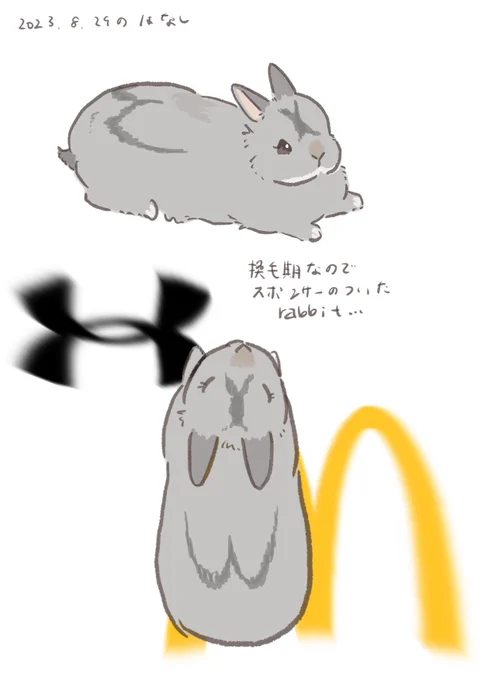 期待の選手🐰

#うさぎのいる生活 