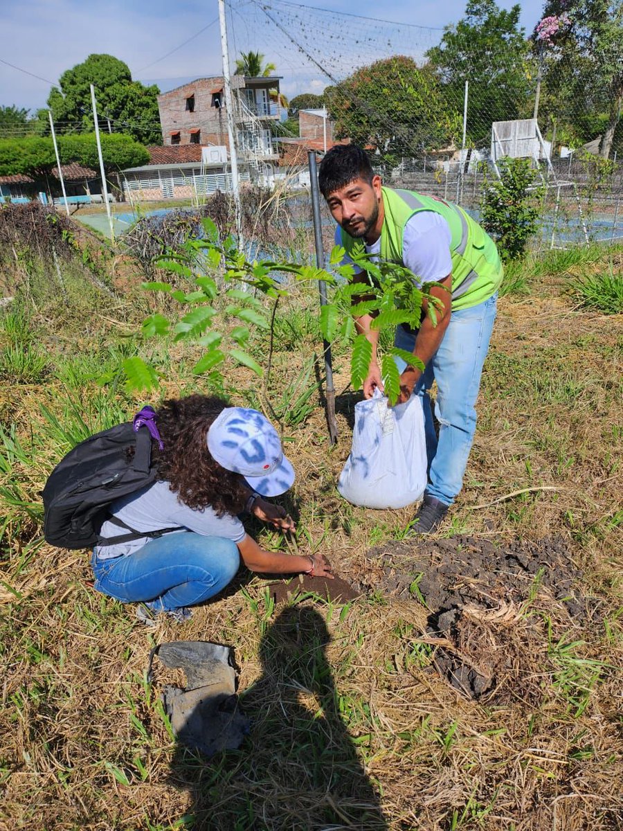FcgRiocas's tweet photo. Junto al Comité Técnico Interinstitucional de Educación Ambiental (#CIDEA) de 📍Bugalagrande, realizamos una jornada de siembra🌱 en el municipio donde sembramos #árboles de cenizo, cedro, mango y guayabo https://t.co/72OKoEolBD