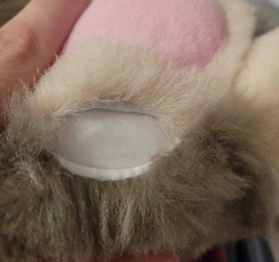 Wounded Deer 🪡 tweet media