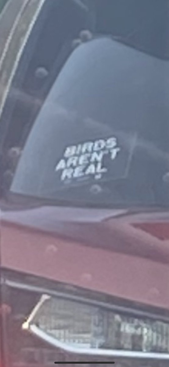 nationofchris's tweet photo. Quackers is less than thrilled at the message. https://t.co/gBonRVNdEU