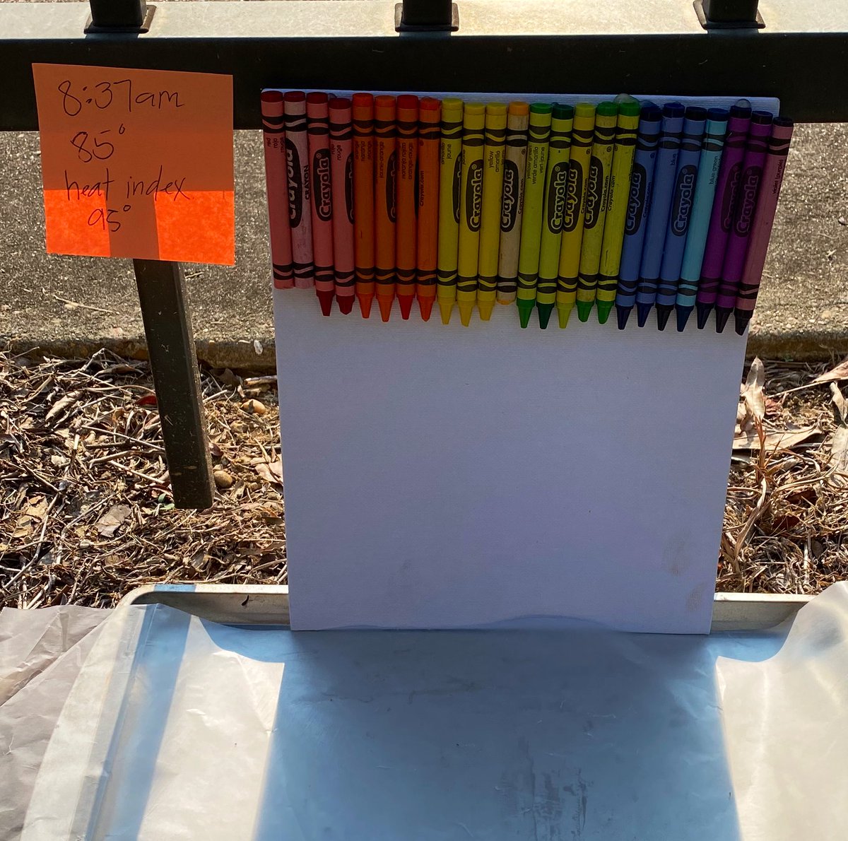 Isabel McLemore tweet media