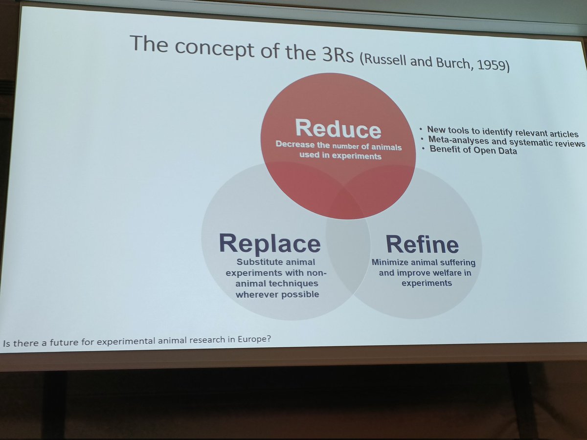 Roberta Maria D'Alessio tweet media