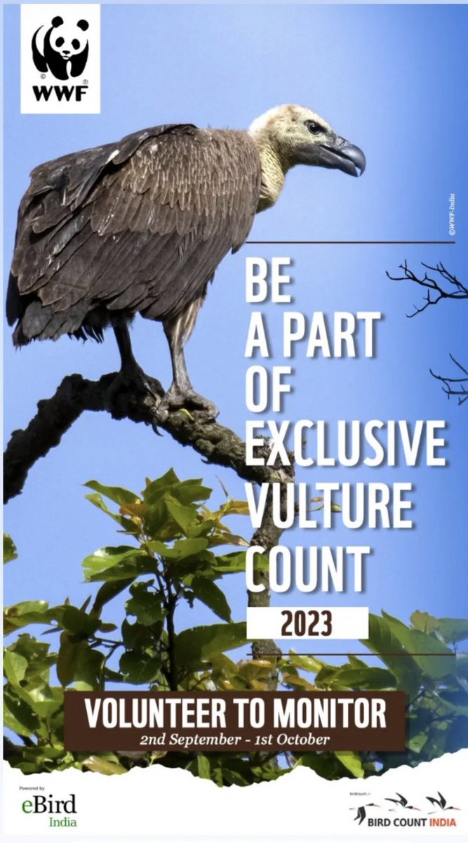 rinkitagurav's tweet photo. Tweeple, tomorrow’s the last day to register for @WWFINDIA’s Vulture Count. Go birding, record vultures on @Team_eBird and share it with us! Volunteer for Vultures! Register here: https://t.co/D09VVzpVmU https://t.co/SaX9QBz88A